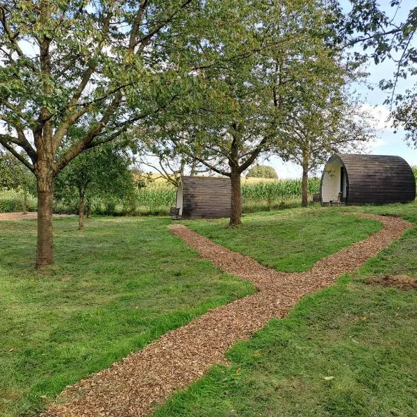 B&B Uit de Kunst APPEL, hôtel à Bingelrade