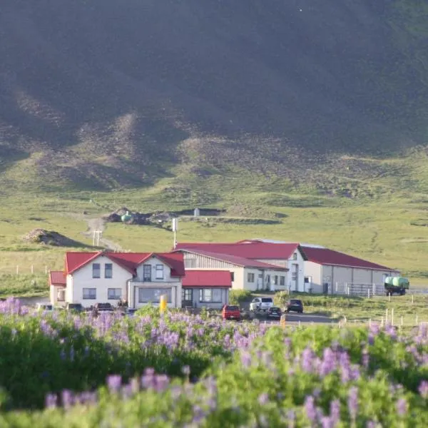 Lysuholl, hotel en Snæfellsbær