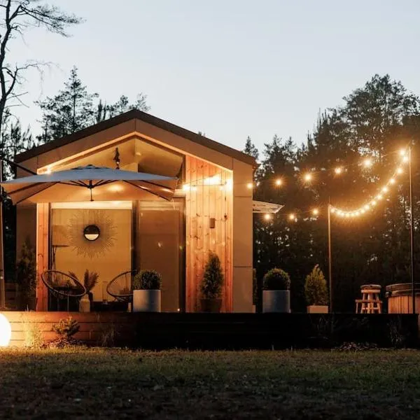 Vienis glamping - cozy and private forest house, hotel Randamonys városában