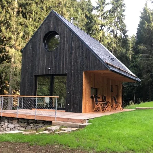 Domek Orlické hory,位于德尔内夫奥里克的酒店