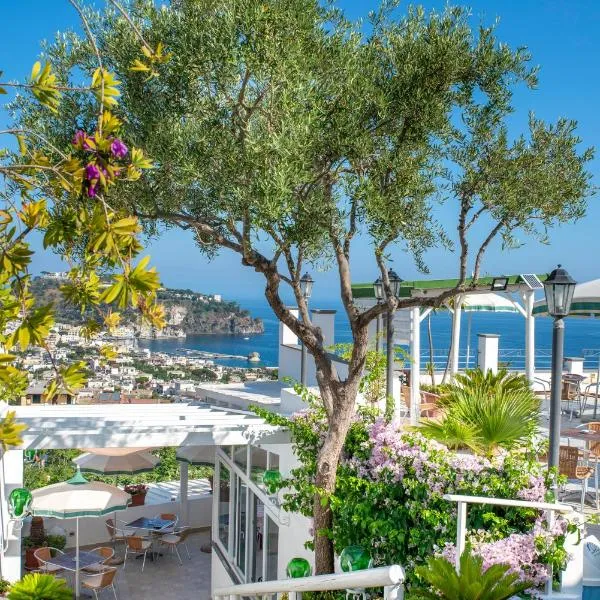 Hotel Bel Tramonto, hotel v Ischii