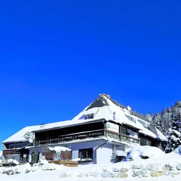 Draxlerhaus, hotel v destinaci Hohentauern