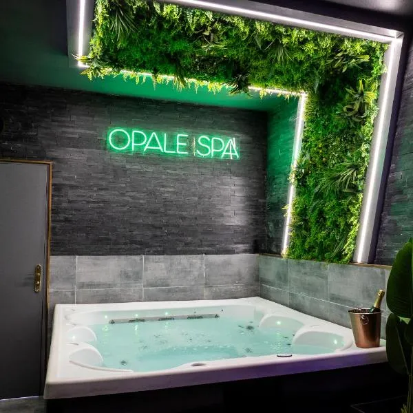 Opale Spa - Jacuzzi et sauna privatifs, hotel in Mons-en-Baroeul