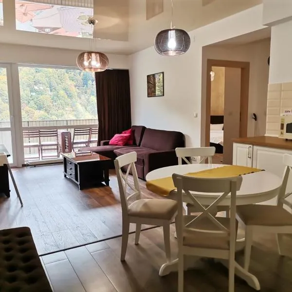 Amazing Brownie by Miro Apartment, hotel in Sinaia