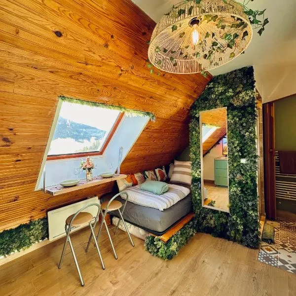 Atypical Studio - Allos, hotel in Allos