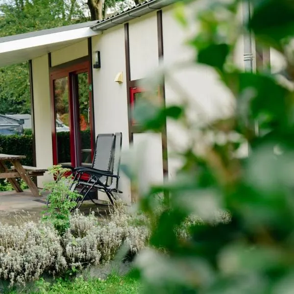 Camping De Bosrand, hotel v destinaci Sint Geertruid