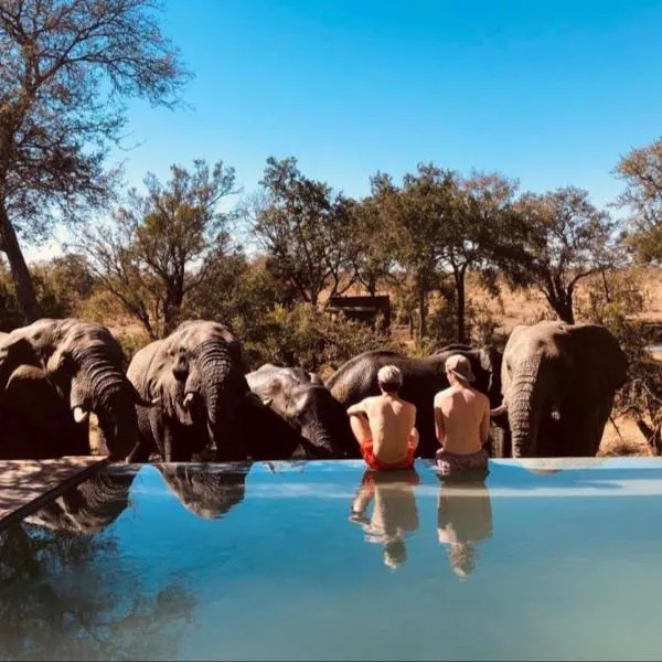 Honeyguide Tented Safari Camps - Mantobeni, hotel in Manyeleti Game Reserve