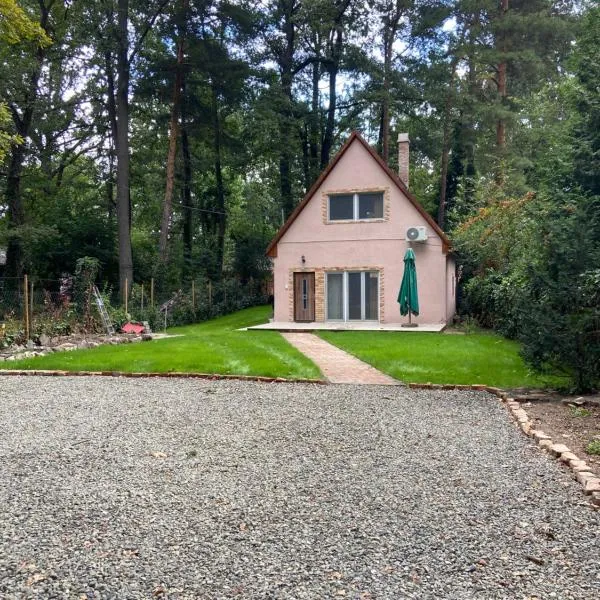 Irány Horány Vendégház, Hotel in Szigetmonostor