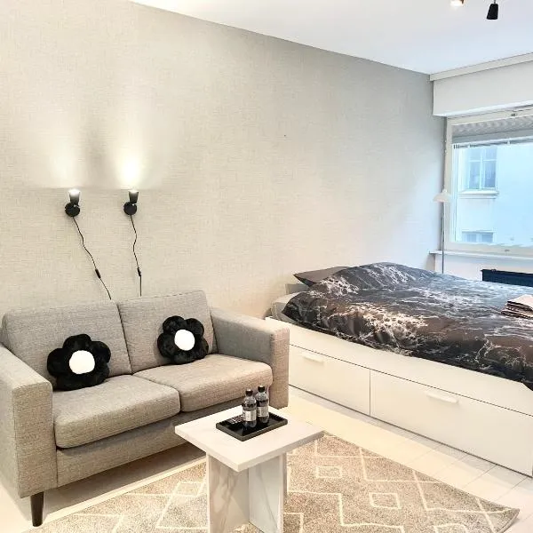 Puma's central flat 2 in Helsinki, hotel in Helsinki