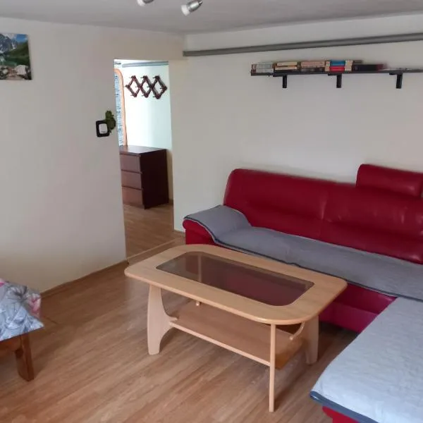 Apartament pod Rykowiskiem, hotel in Korbielów