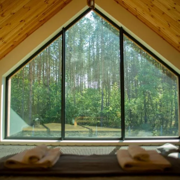Lasownia Dom Dzięcioł, hotel v destinaci Wielęcin