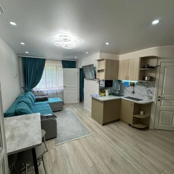 3-x комнатная квартира Аэропорт, hotel in Turksib