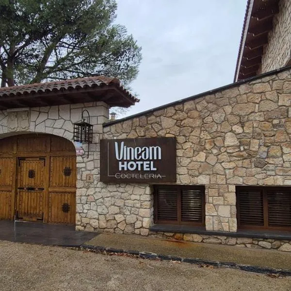 Vineam Hotel, hotel in La Muela