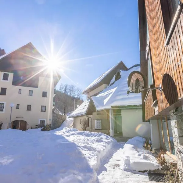 Résidence Vacancéole La Perrière, отель в городе Saint-Colomban-des-Villards