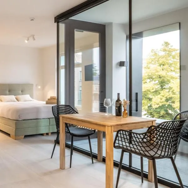 Mavue kamer met terras, hotel in Mechelen