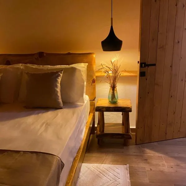 Vileta Auri, hotel in Tushemisht