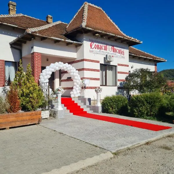 Conacul Ancuței, hotel in Brad
