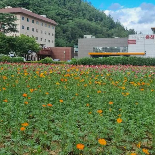 Juwang Mt Oncheon Tourist Hotel，位于Cheongsong的酒店