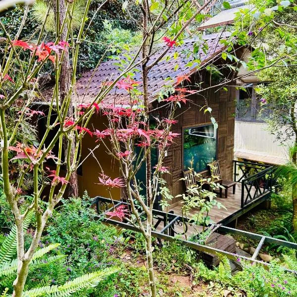 BAZAN HOME - Hotel & Bungalow, hotel v destinaci Pleiku