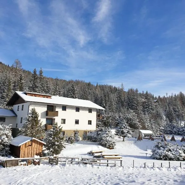 Ferienhaus Schäfer - Apartments - Wintersports - Family holiday - Holiday with your dog - Rural & Scenic, hotel in Flattnitz