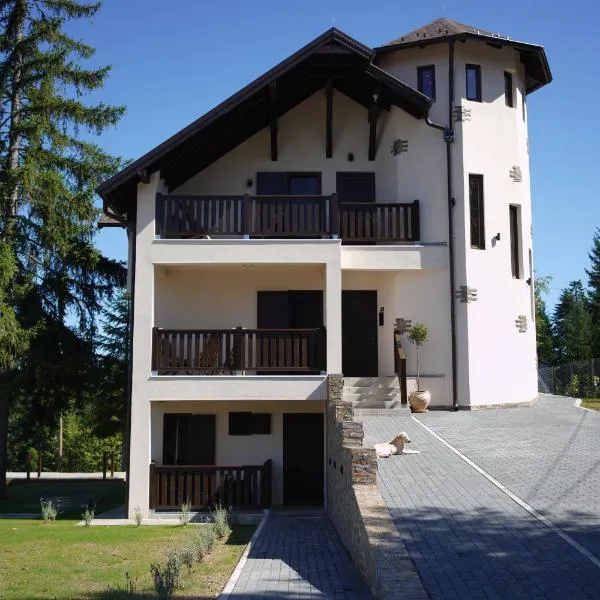 Star Hill Apartments, hotel in Nova Varoš
