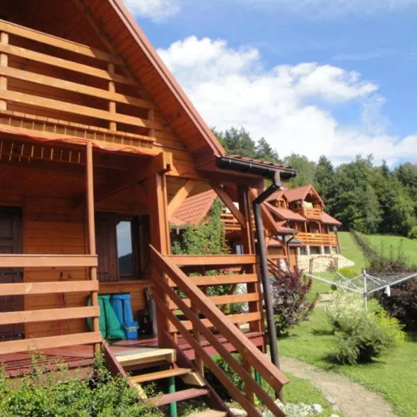 Domki pod Lasem, hotel in Rymanów-Zdrój