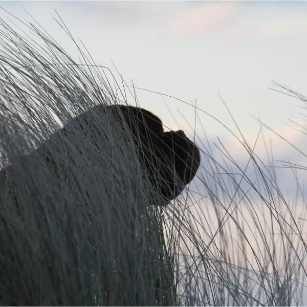 Bungalow RUHE UND STURM direkt am STRAND mit KAMIN nur für ERWACHSENE, hotell sihtkohas Nonnevitz