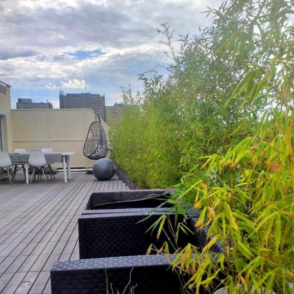 Appartement avec terrasse 50m2 dernier étage Strasbourg centre et proche gare, Strasburg