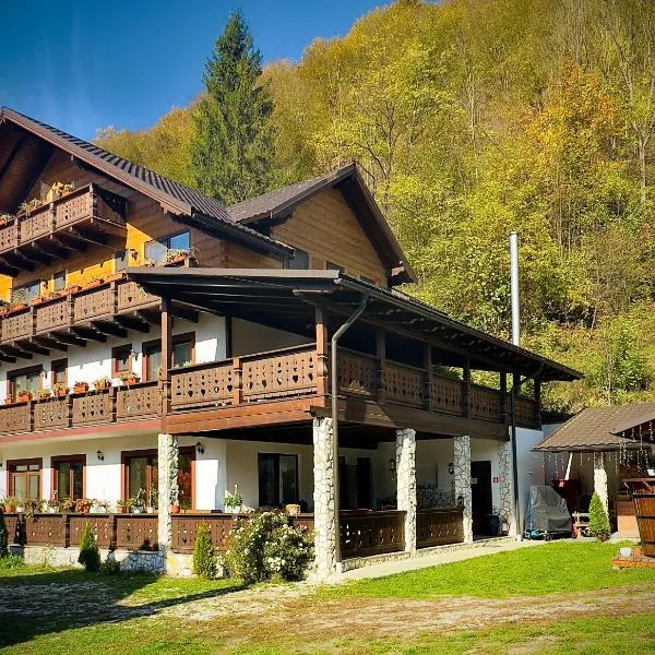 Pensiunea Drumul Iancului, hotel in Vidra