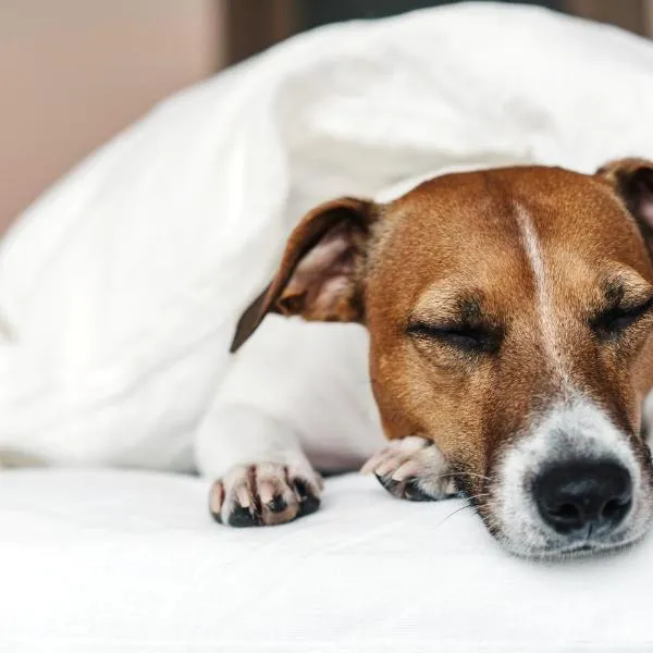 Holiday Inn - the niu, Franz Vienna by IHG, hotelli Wienissä