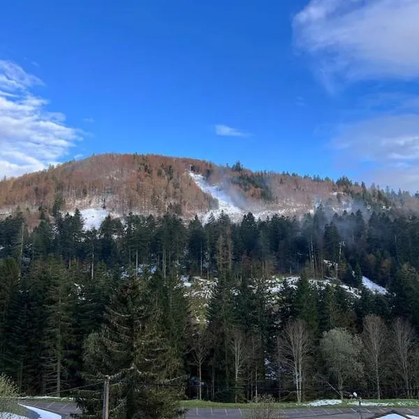 Le Balcon - La Bresse, ξενοδοχείο σε La Bresse