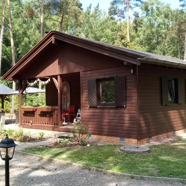 Ferienhaus Bea, hotel v destinaci Buchholz Aller