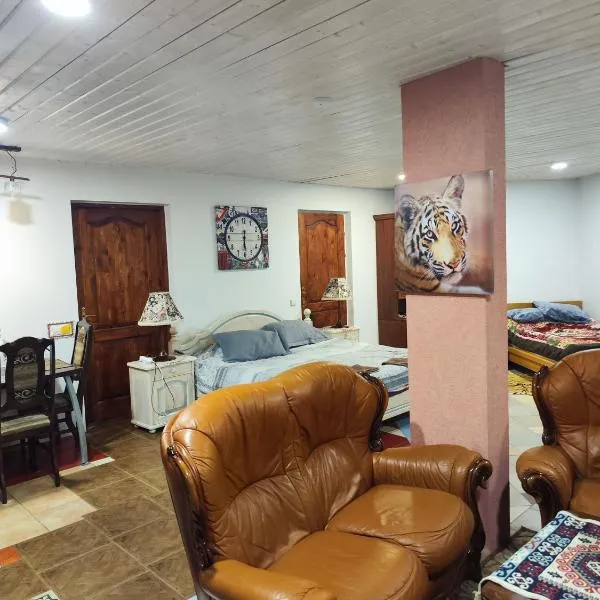 HOMESTAY ,,Aurora,,, hotel in Vilnius