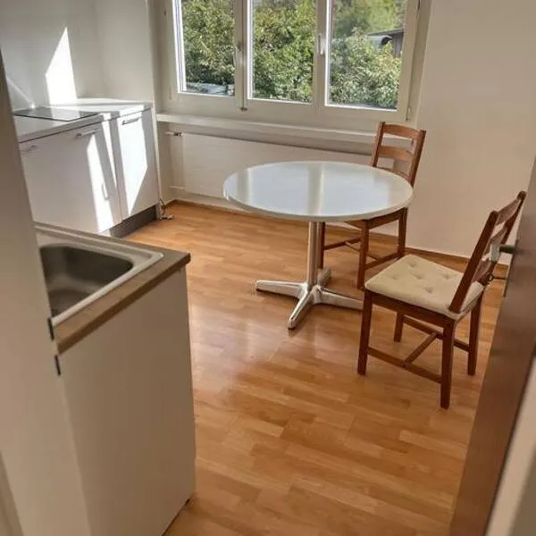 Studio Jan,位于Hombrechtikon的酒店