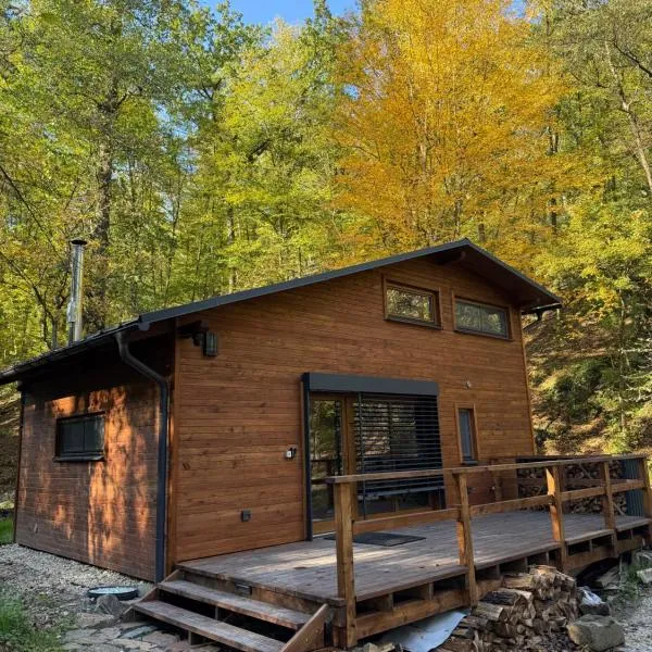 Chata v údolí, hôtel à Kníničky