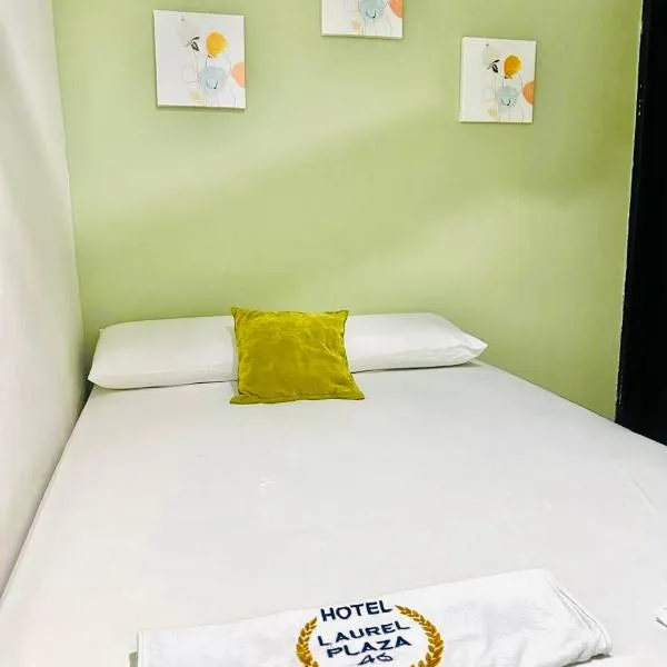 Laurel plaza 46, hotel in Montería