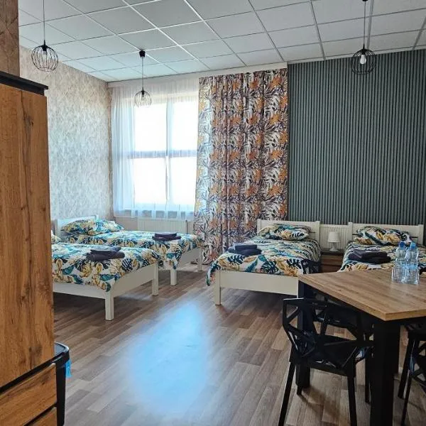 Pokoje nad Nysą Olszyna, hotell sihtkohas Olszyna
