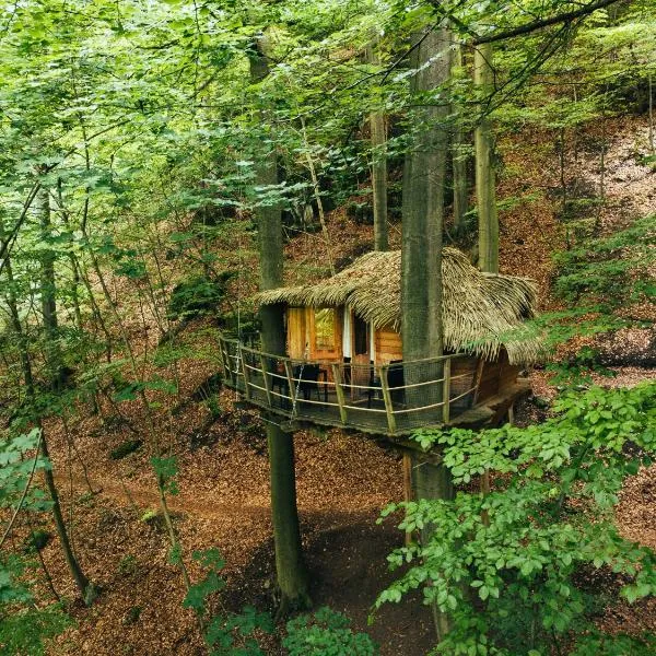 Treehouse Trenčianske Teplice，位于特伦钦温泉镇的酒店