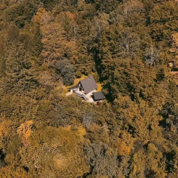 Villa Planica Holiday Home, hotel a Kupa
