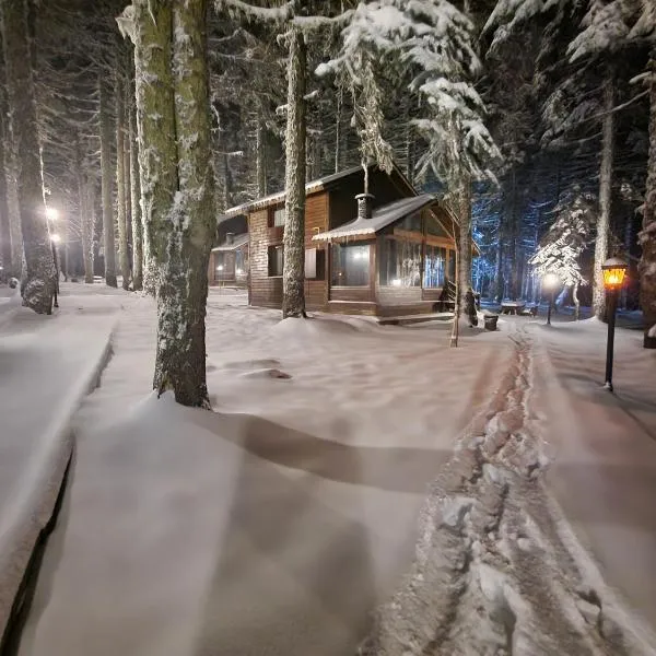 Karinna Orman Evleri，位于乌鲁达的酒店