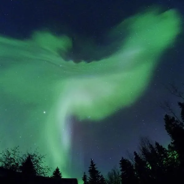 ヒドゥン バレー ベッド アンド ブレックファースト（Hidden Valley Bed and Breakfast）、ホワイトホースのホテル