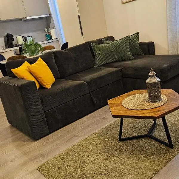 Cēsu str Cozy Apartment, free parking, self check in，位于里加的酒店