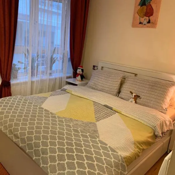 Teli`s House，位于南安普敦的酒店