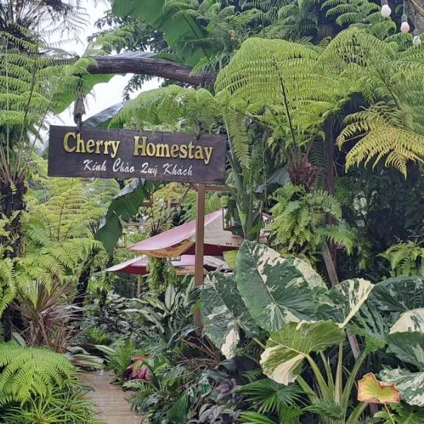 Cherry HomeStay & coffee, Hotel in Buôn Ðũng