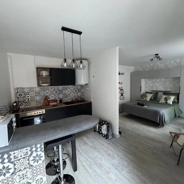 Magnifique studio en RDC au cœur de la boucle, Hotel in Besançon