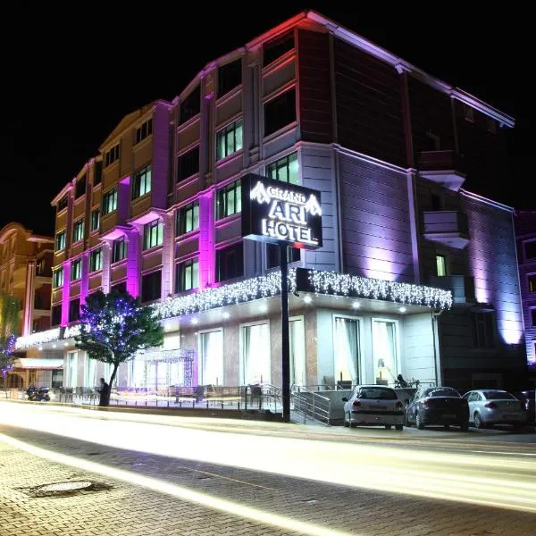 Afyon Grand Arı Hotel, hotel in Afyon
