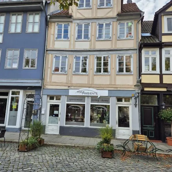Altstadt Apartment mit Ausblick, hotel in Braunschweig