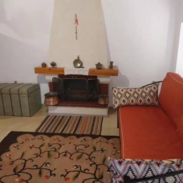 karaste chalet，位于阿拉霍瓦的酒店