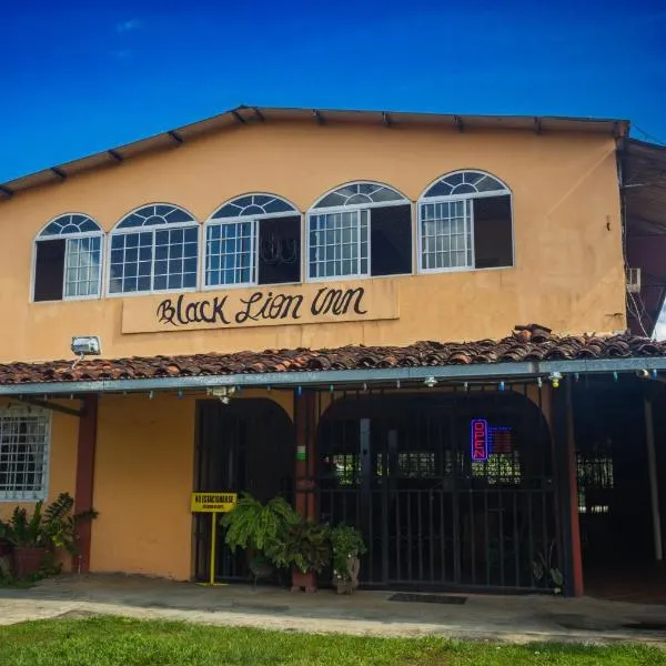 Black Lion Inn，位于圣地亚哥的酒店