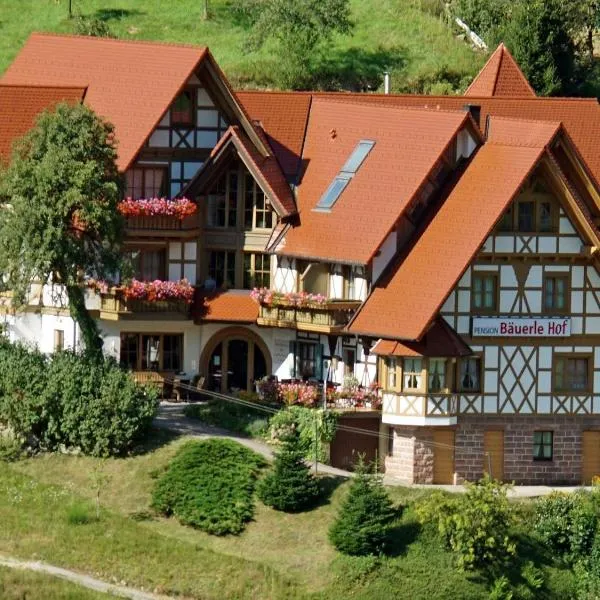 Bäuerlehof, hotel in Seebach